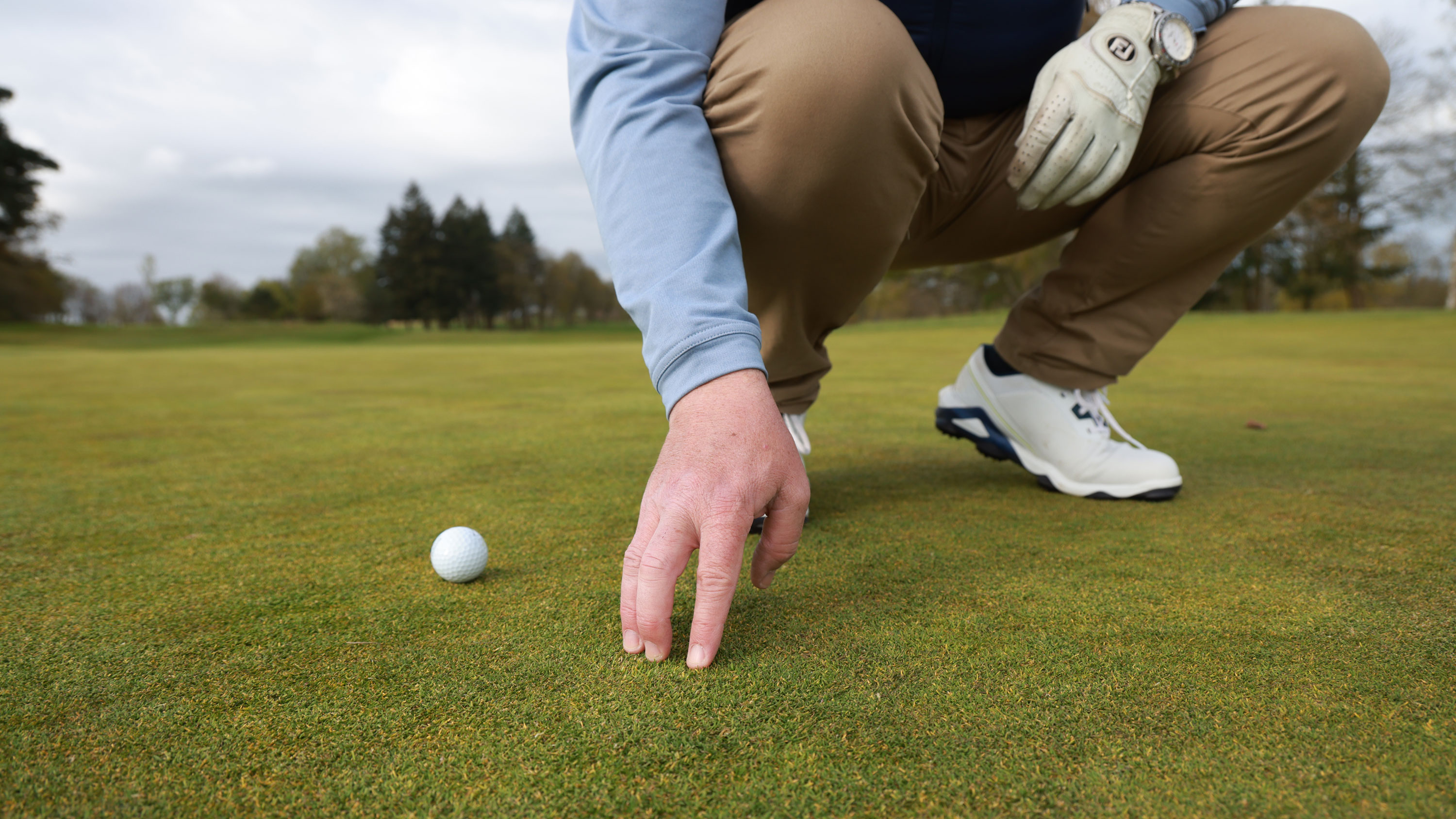 A player rubbing the surface of the green to test it