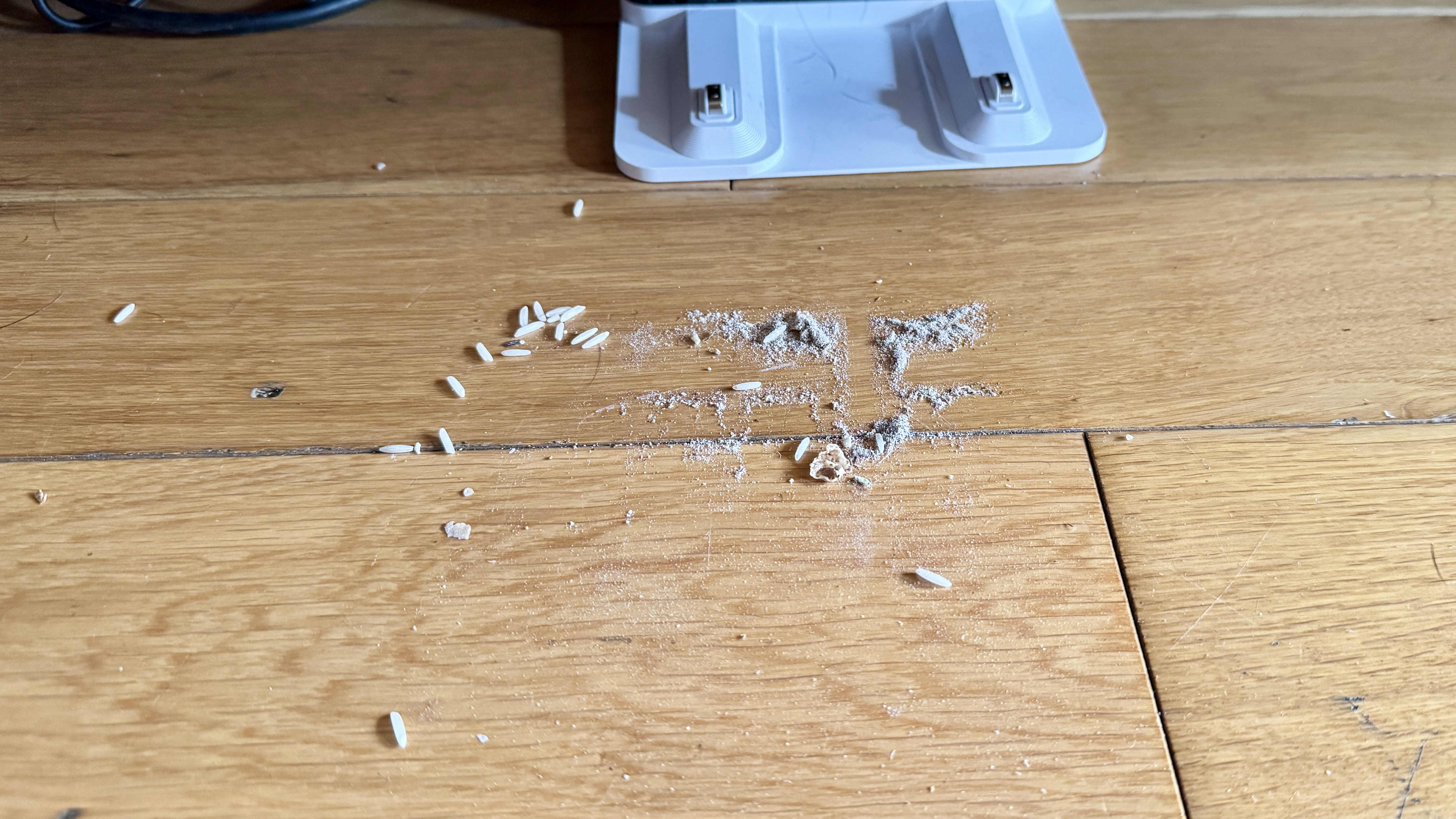 Debris spat out in front of dock