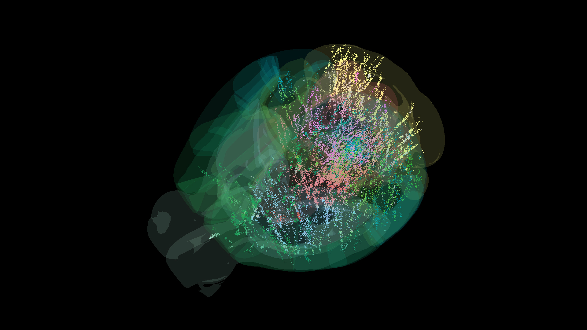 A colored diagram of different neurons in the mouse brain