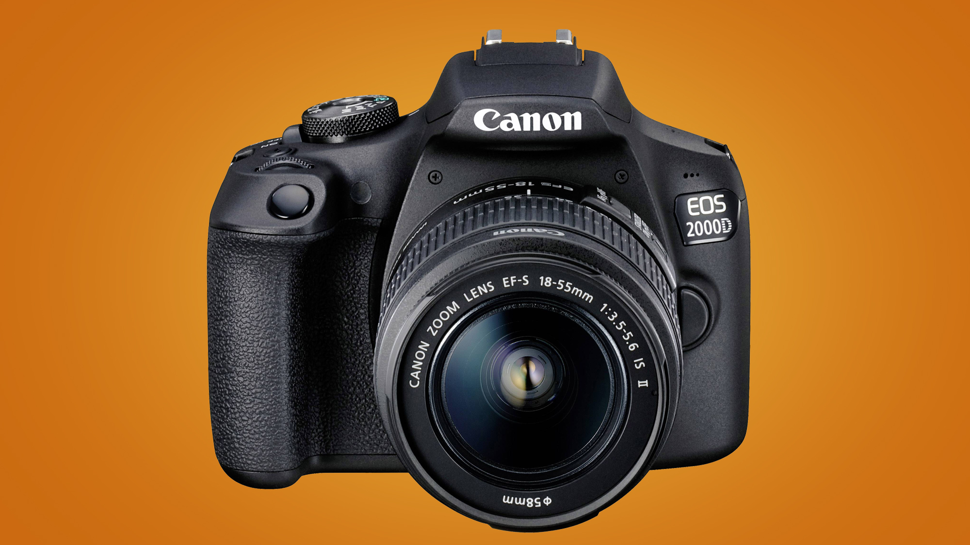 Canon vs Nikon Beginnerfriendly DSLRs Canon vs Nikon which DSLR or