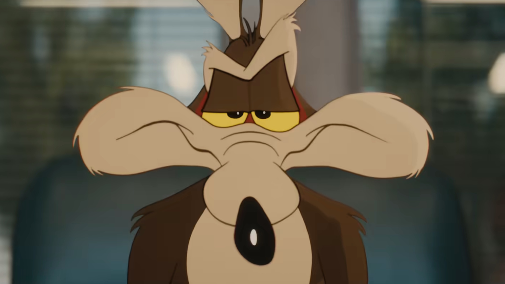 Wile E. Coyote is shown in the Coyote vs. Acme trailer.