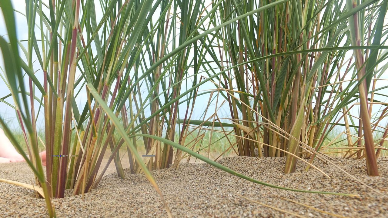 GuruShots - Vivid Landscapes March 2026