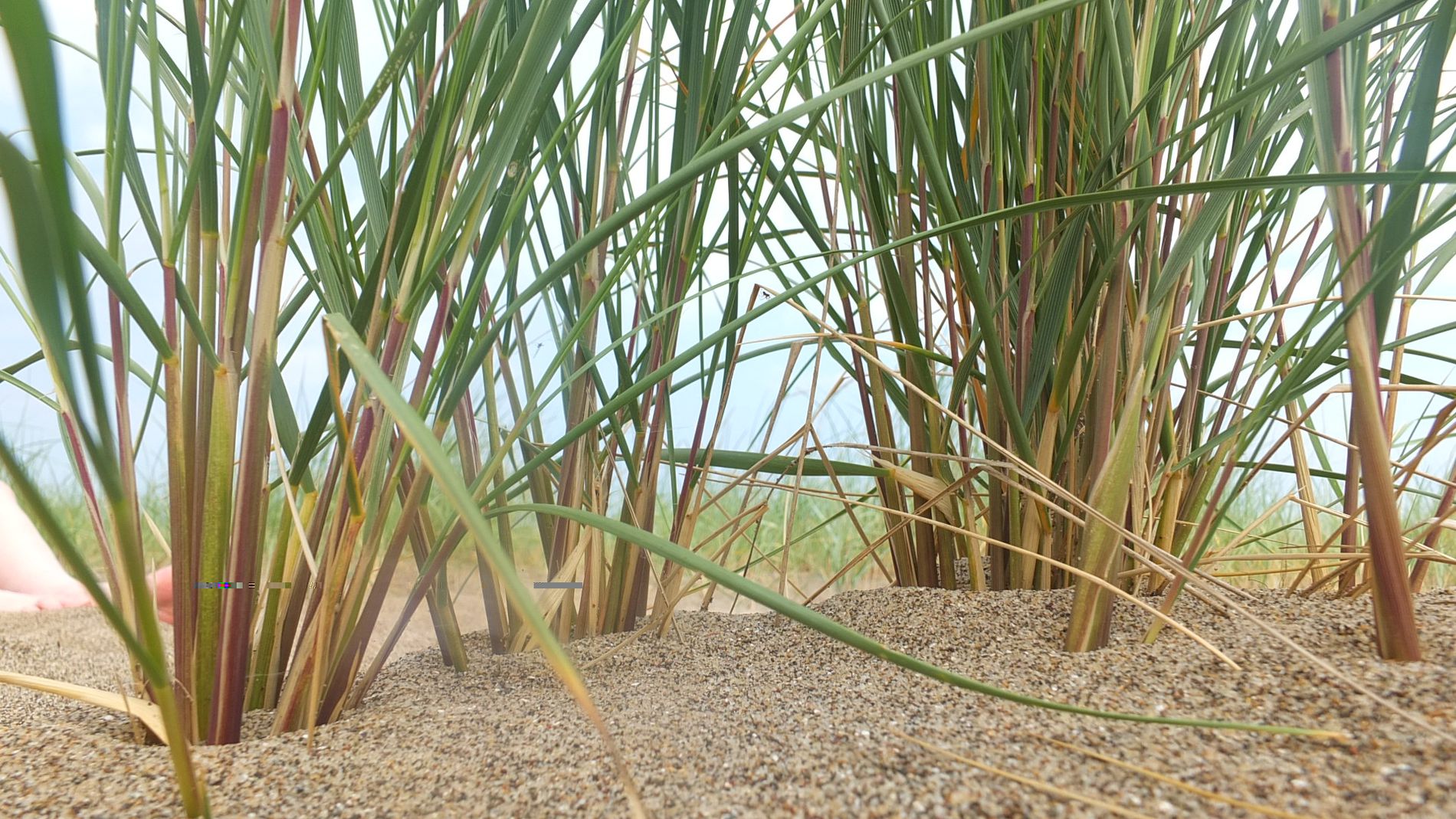 GuruShots - Vivid Landscapes March 2026