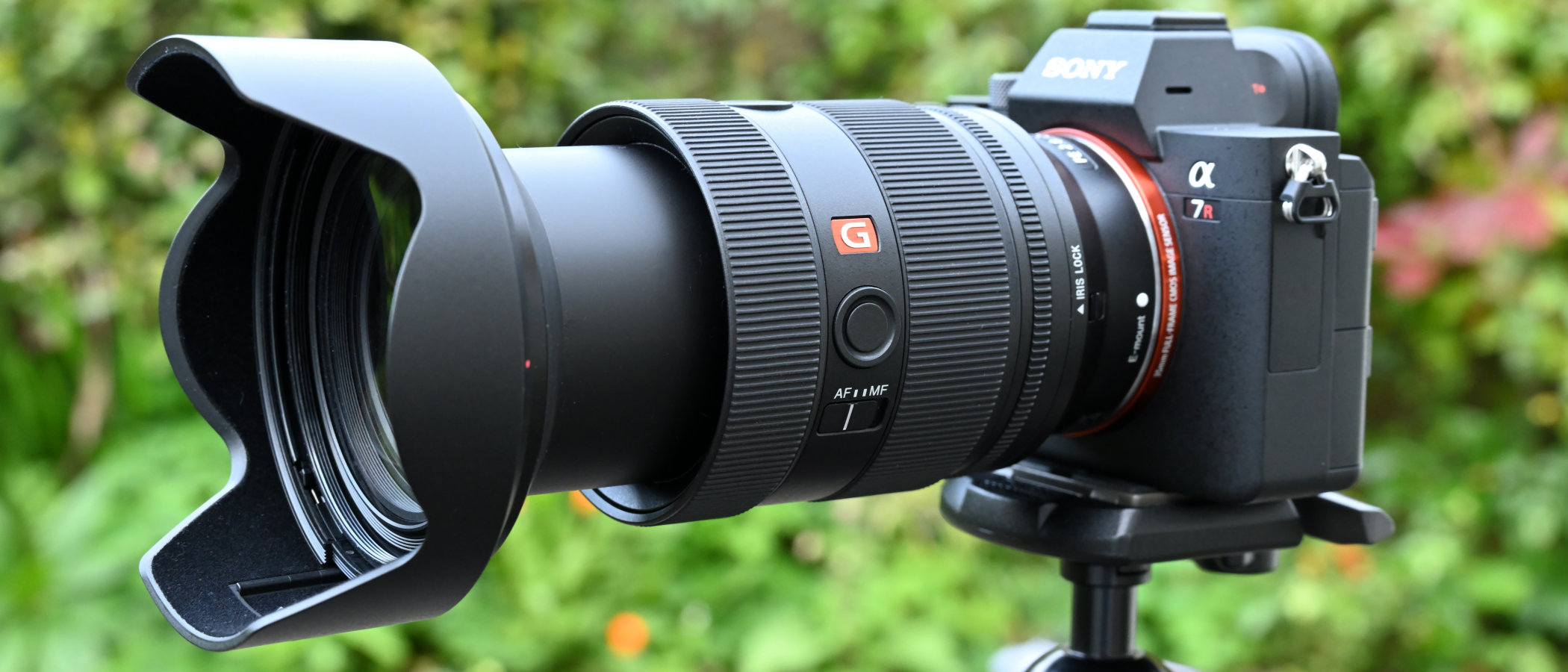 The Sony 24-70mm f2.8 GM II Works Great With These Cameras