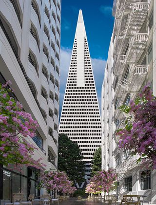 the revamped Transamerica pyramid, a pyramidal high rise with sleek contemporary interiors and slanted walls