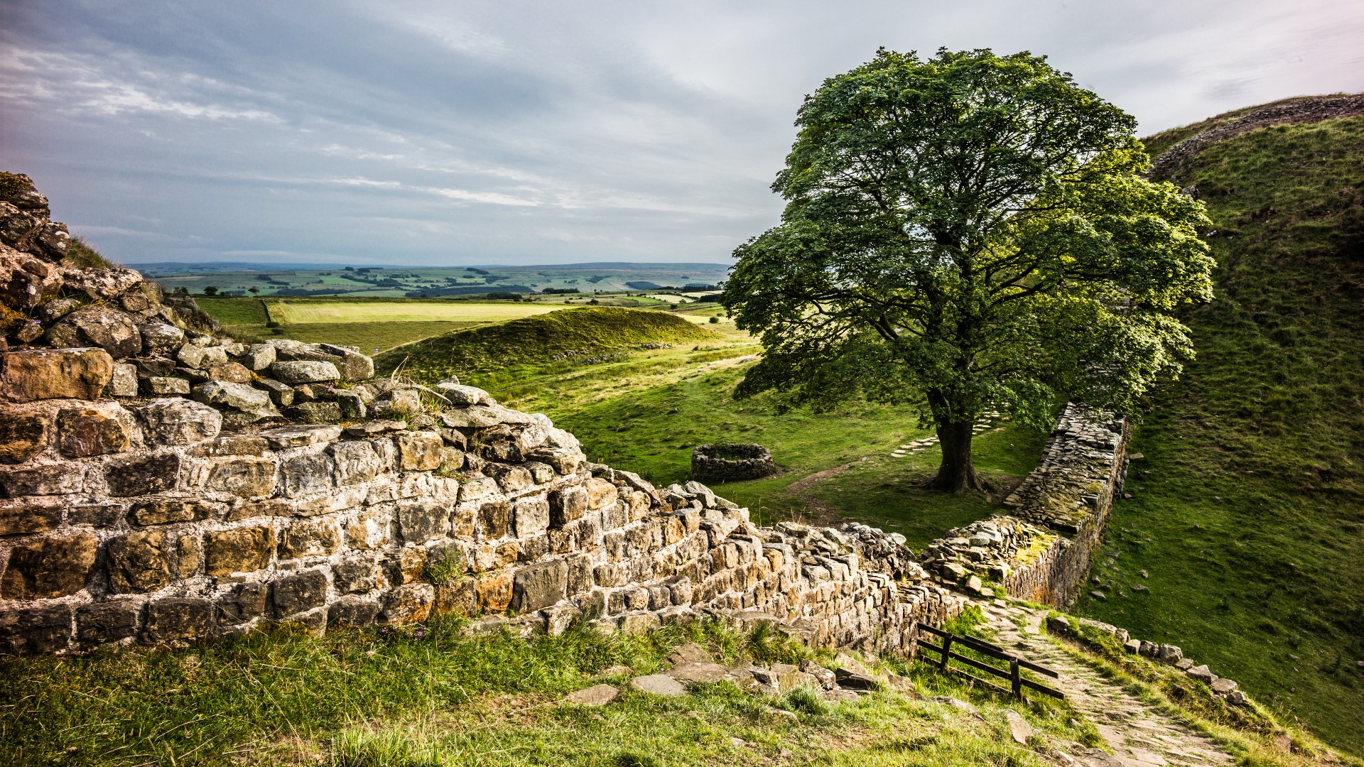 Sycamore Gap, Hadrian's Wall. Roy JAMES Shakespeare via Getty Images.