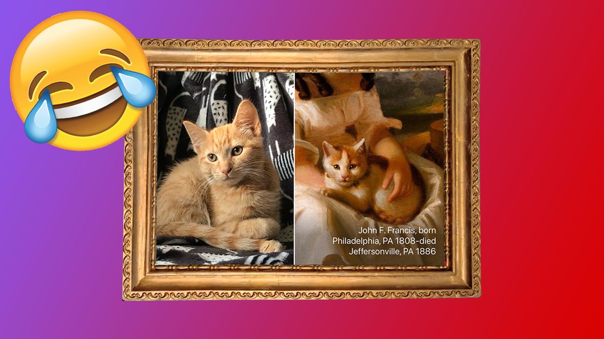 A comparison between modern pets and traditional art in a frame. 