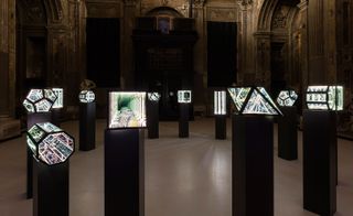 Installation view of James' illuminated display cases