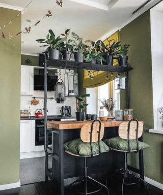 A dining idea for small kitchens with green paint, bar stools and houseplants