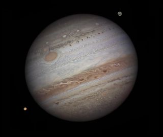 Jupiter Seen by Damian Peach