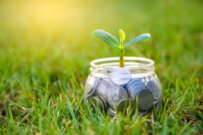 Plant growing from coins inside a glass jar on blurred green natural background