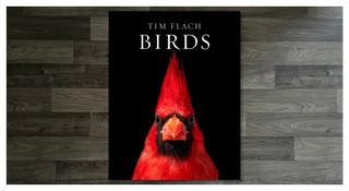best coffee table books on photography - tim flach birds image