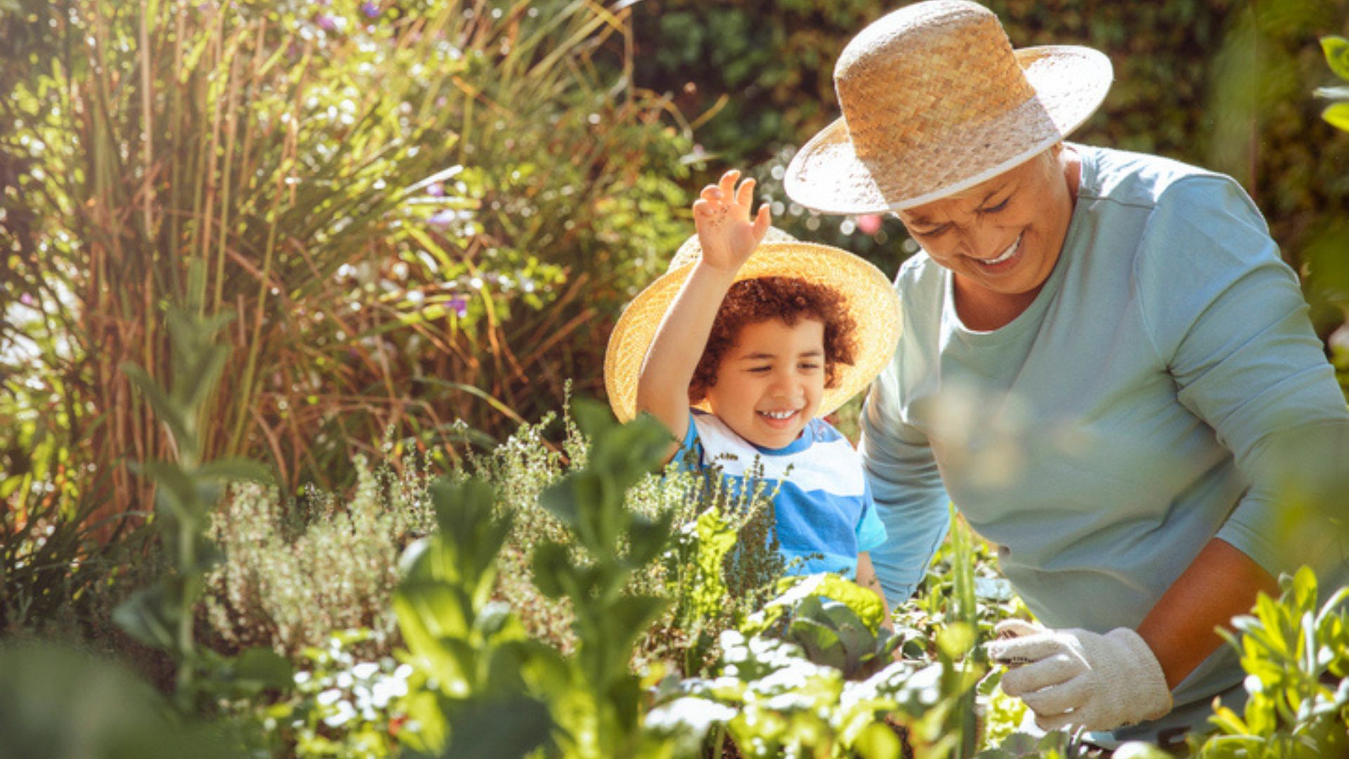 An older woman and young boy among plants wearing sun hats as they garden