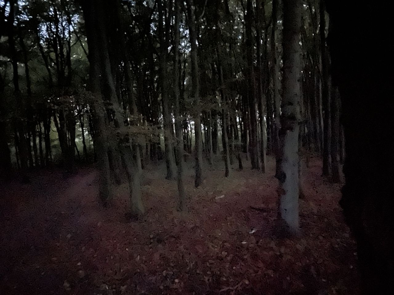 Images can still turn out really muddy...