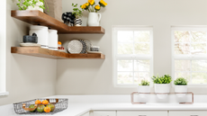 A bright neutral kitchen with eco friendly products on shelves