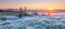 Frosty field at sunrise