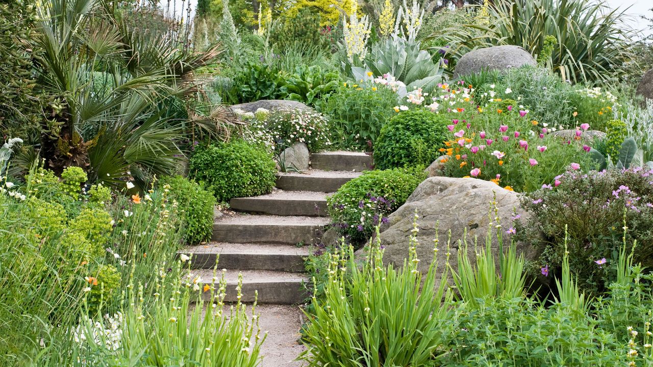 steps through alpine planting for sustainable gardens