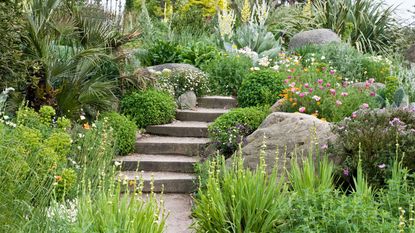 steps through alpine planting for sustainable gardens