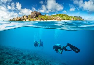 Divers below the surface in Seychelles exploring corlas