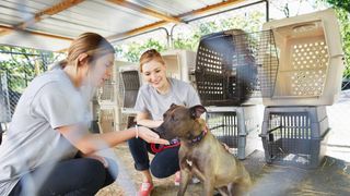 Two women playing with dog