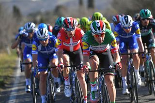 Elia Viviani (Deceuninck-QuickStep) leads bunch on stage 2 of Tirreno