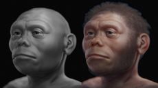 Side-by-side images of an artist's interpretation of a hobbit. 