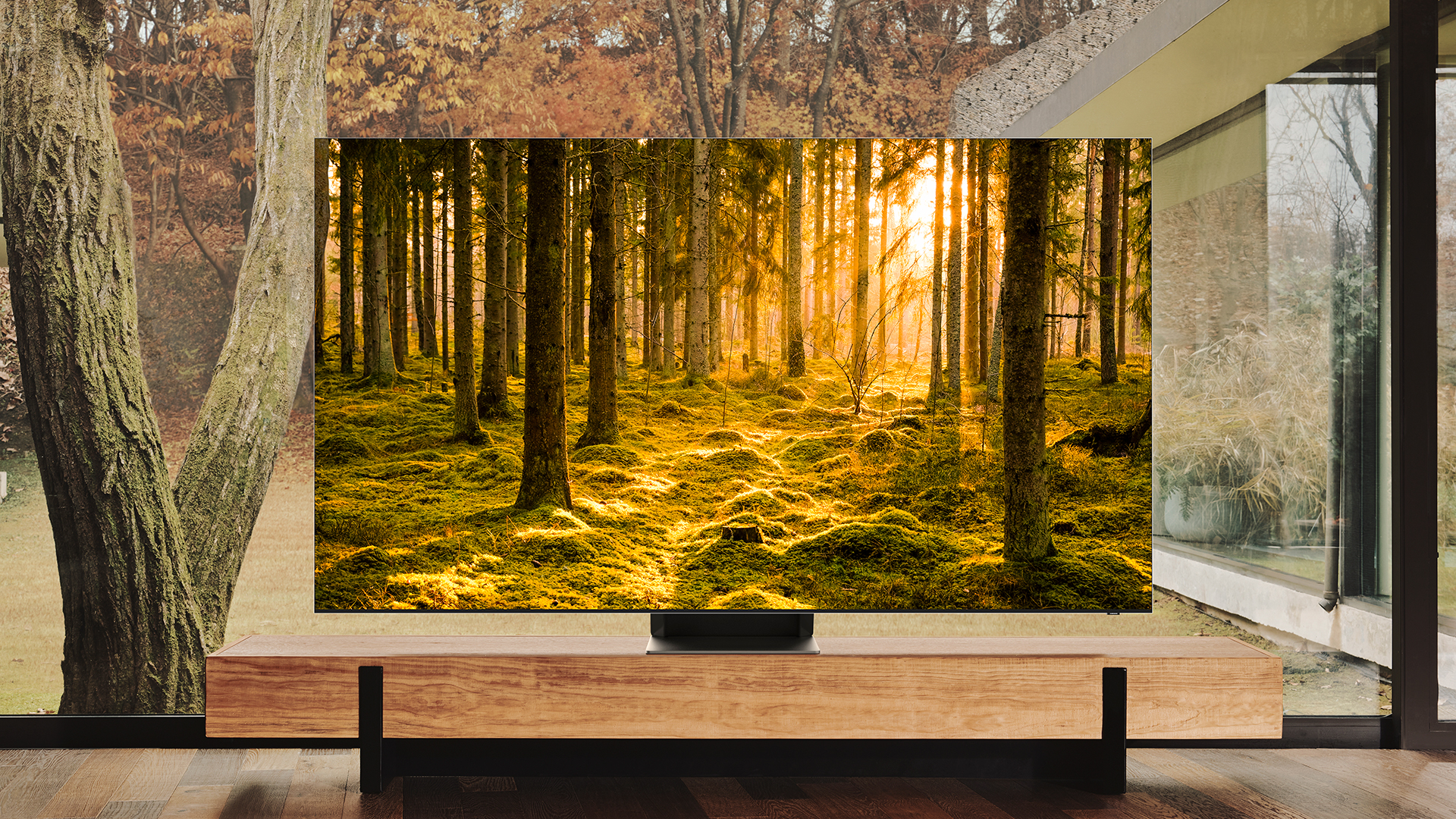 Samsung QN900B Neo QLED 8K TV displaying a woodland scene