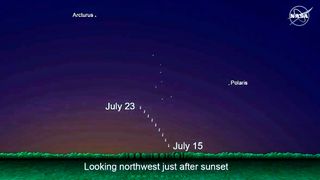 Start looking for the comet after sunset, and look north – just to the left of the North Star (Polaris), and below the Big Dipper/Plough (Ursa Major)