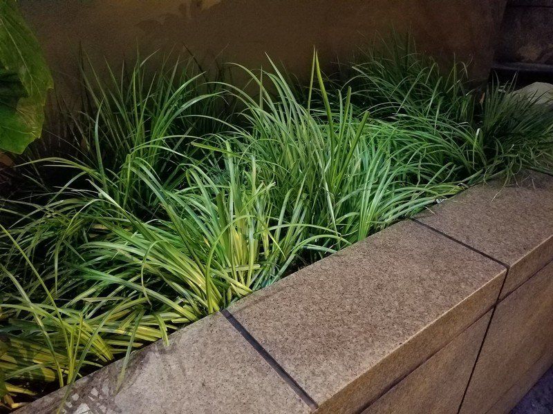 Galaxy Note 7 sample photo