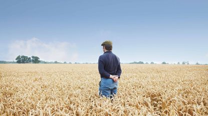 A thoughtful man stands in a wheat field.