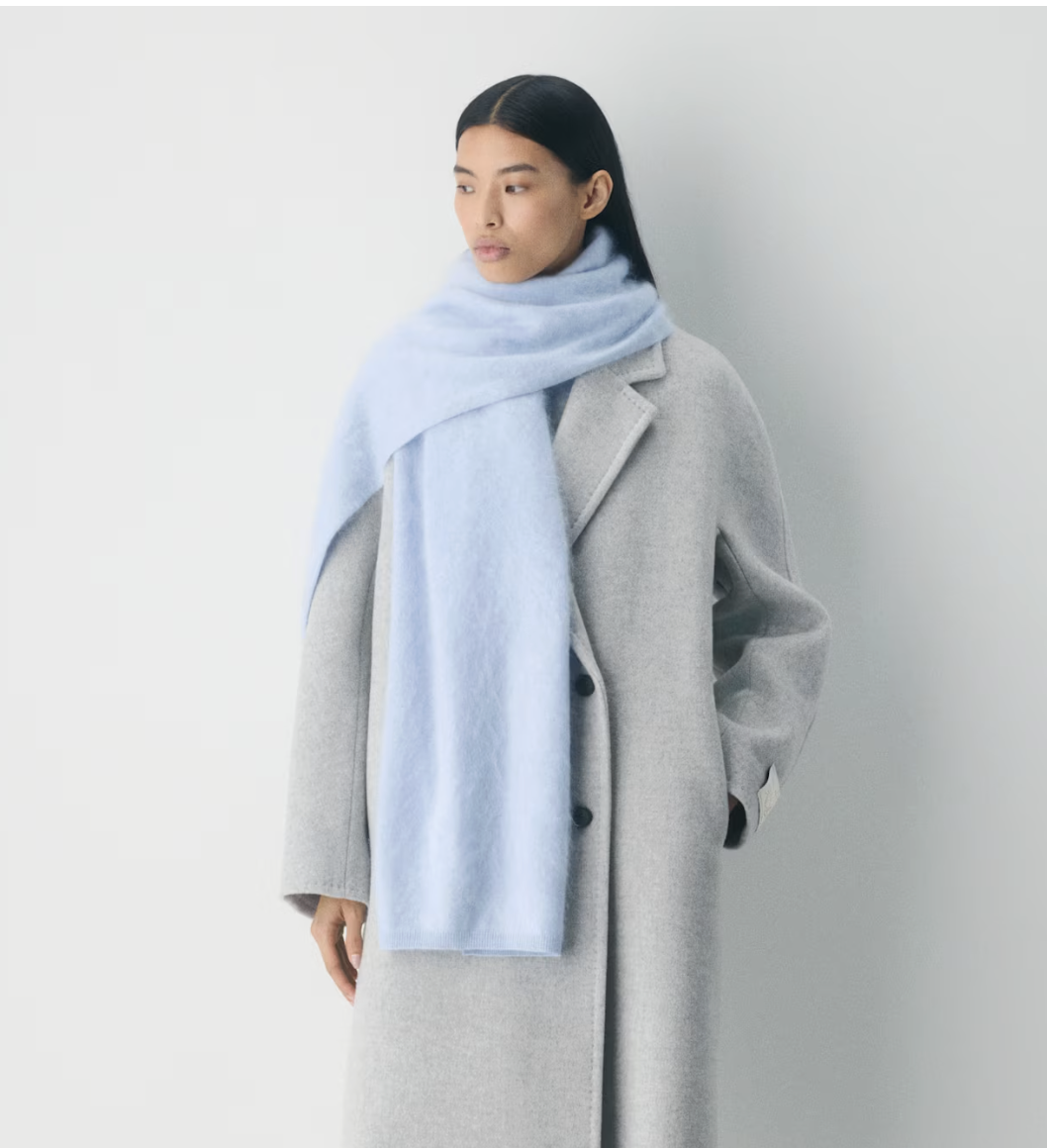 Aritzia, Brushed Cashmere Scarf (Was $128) 