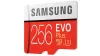 Samsung EVO+ 256GB