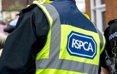 rspca jeremy cooper