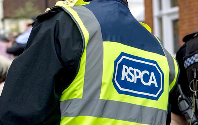 rspca jeremy cooper