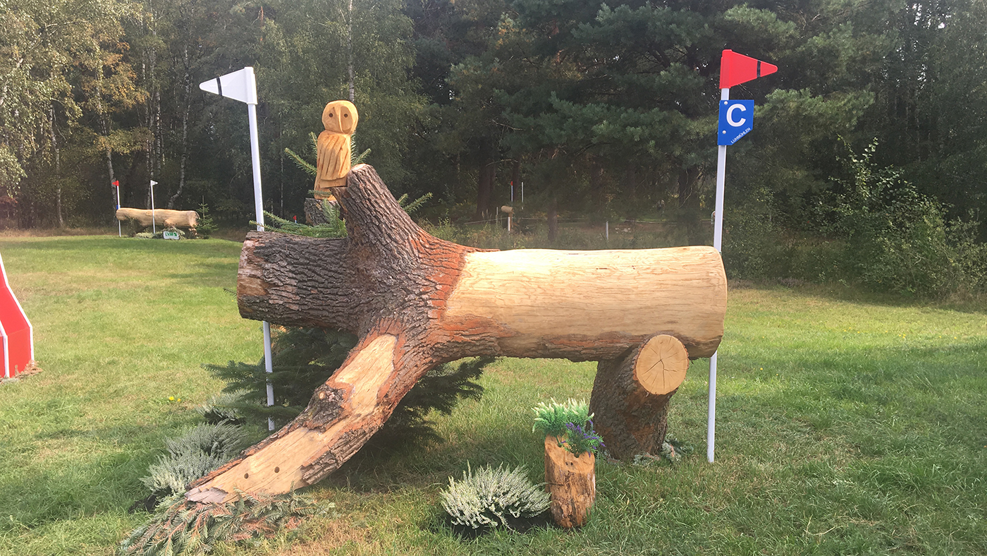 Fence 16c long European Eventing Championships 2019