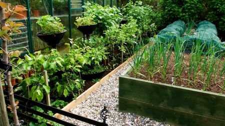 A raised bed in a small garden with gravel