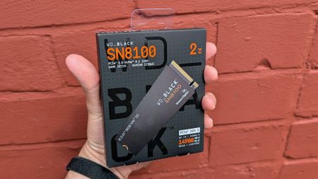 A hand holds a WD_Black SN8100 PCIe Gen 5 NVMe SSD package against a red brick wall. The packaging displays "2TB" and highlights gaming and speed.