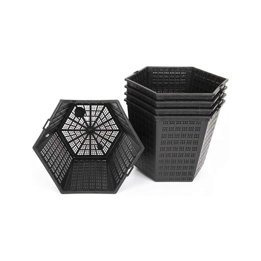 Lincolnshire Pond Plants Ltd 3 x 3LTR Hexagon Pots