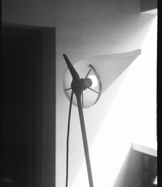 lamp in black and white photo