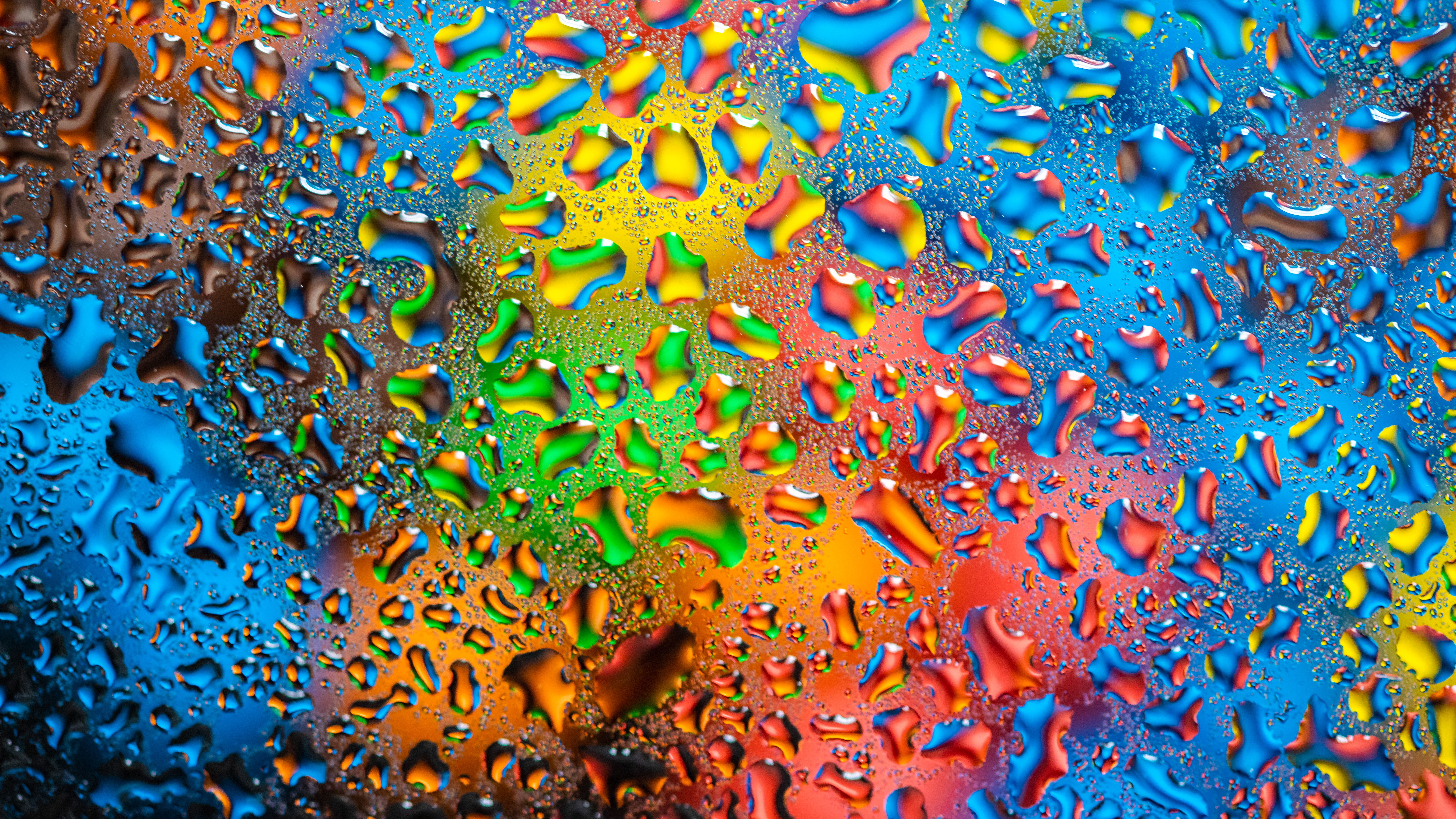 Macro photography