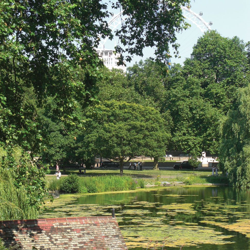 London&#039;s Royal Parks 