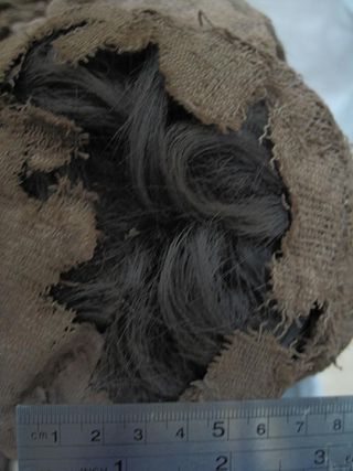 hair from chilean mummies