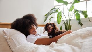 Dachshund in lady's bed