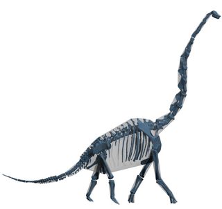 Computer "skin and bones" model of Brachiosaurus