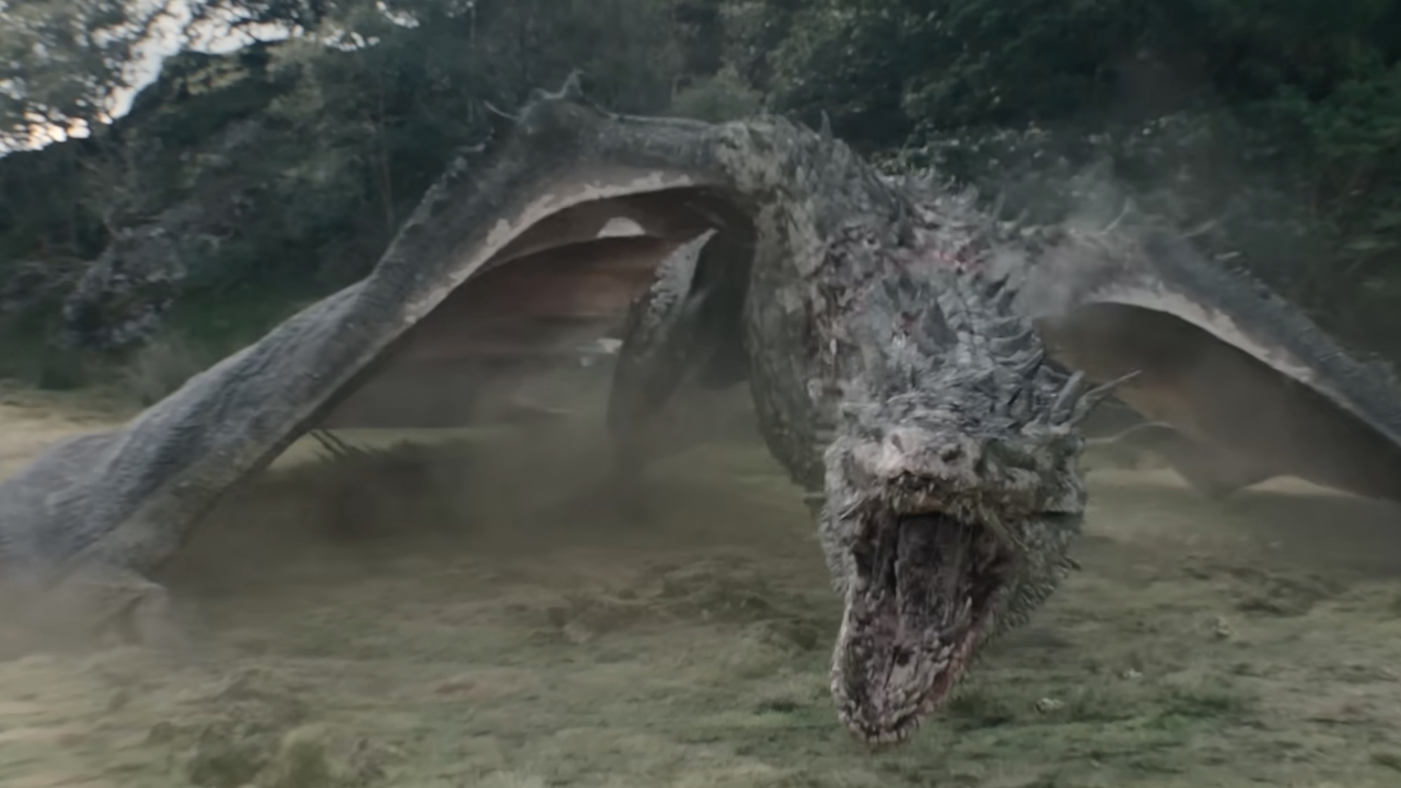Sheepstealer fighting the other dragons.
