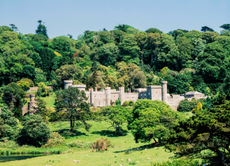 Nobody in Britain has seen more of the nation's great country houses than Penny Churchill.