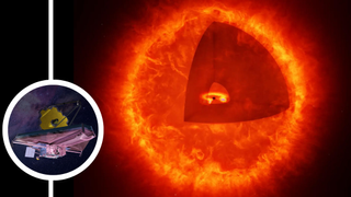 (Main) An illustration of a "black hole star" (Inset) the JWST