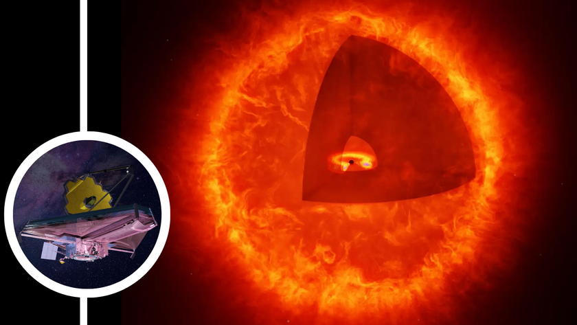 (Main) An illustration of a &quot;black hole star&quot; (Inset) the JWST