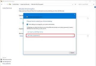 BitLocker software password option