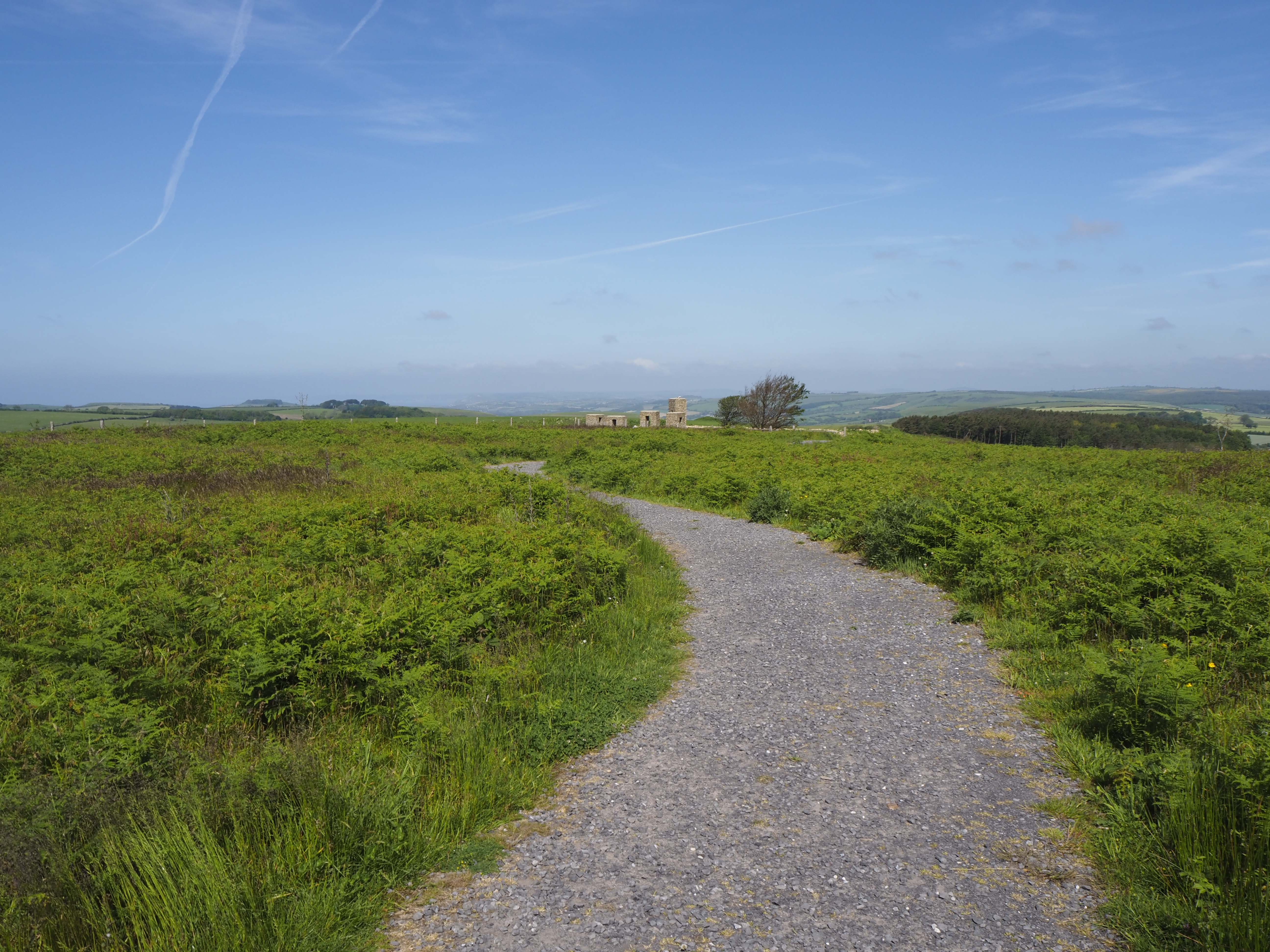 Pathway scene shot on the Olympus E-P7